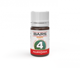 БАРС (BARS) -4